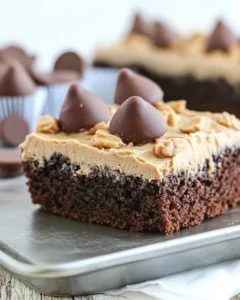 Chocolate Peanut Butter Cup Sheet Cake