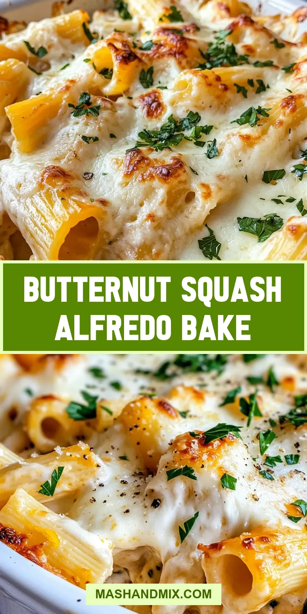 Amazing Butternut Squash Alfredo Bake