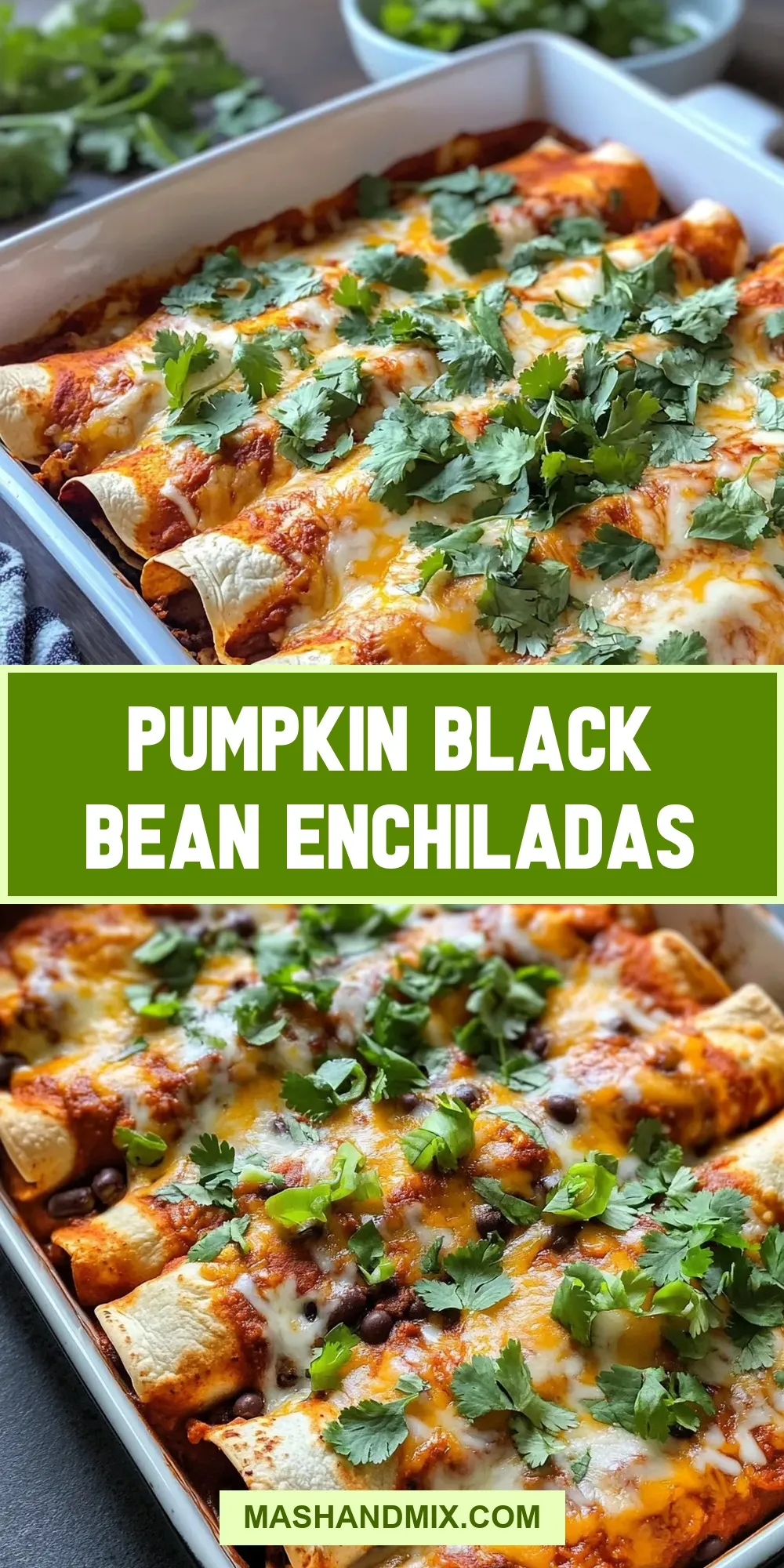 Easy Pumpkin Black Bean Enchiladas Recipe