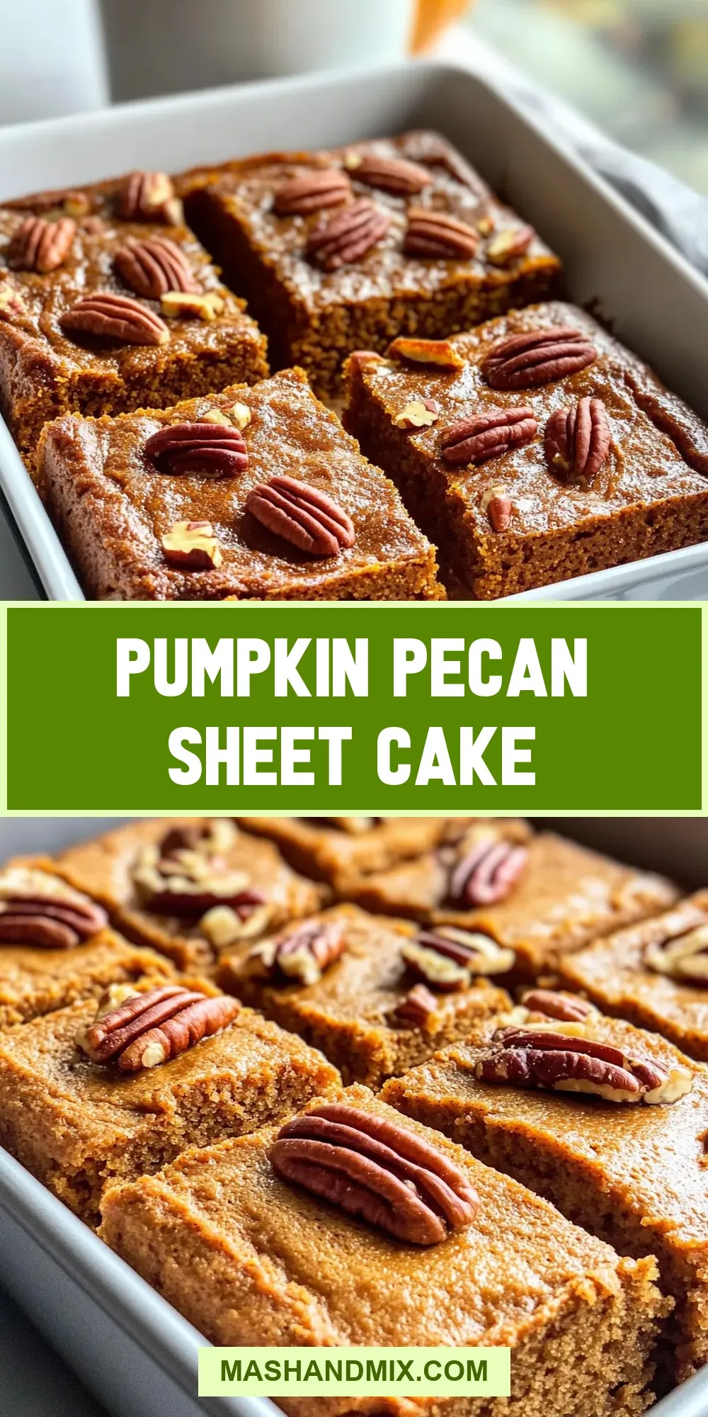 Easy Pumpkin Pecan Sheet Cake Recipe