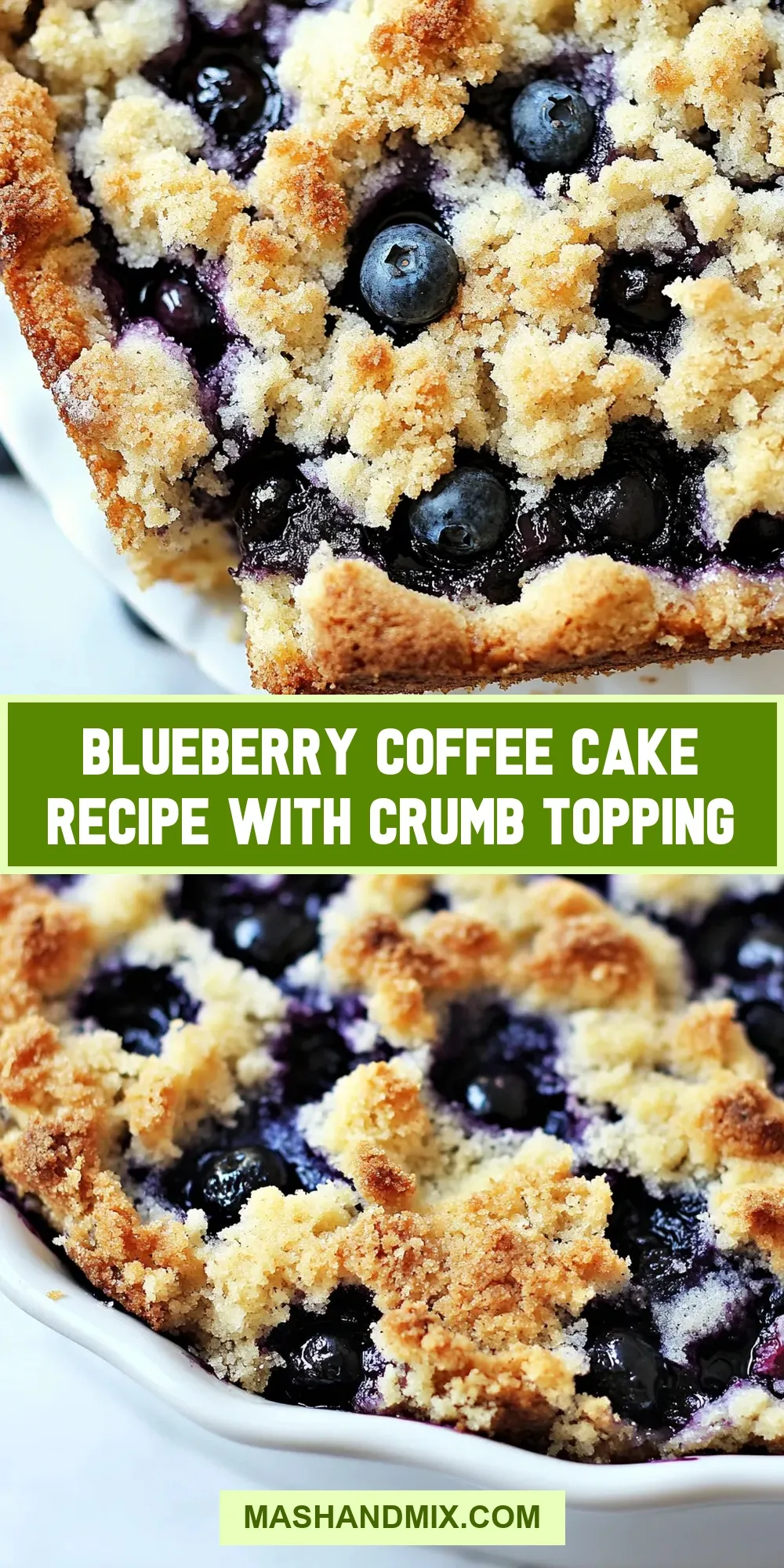 Blueberry Coffee Cake  With Crumb Topping (Homemade & Delicious)