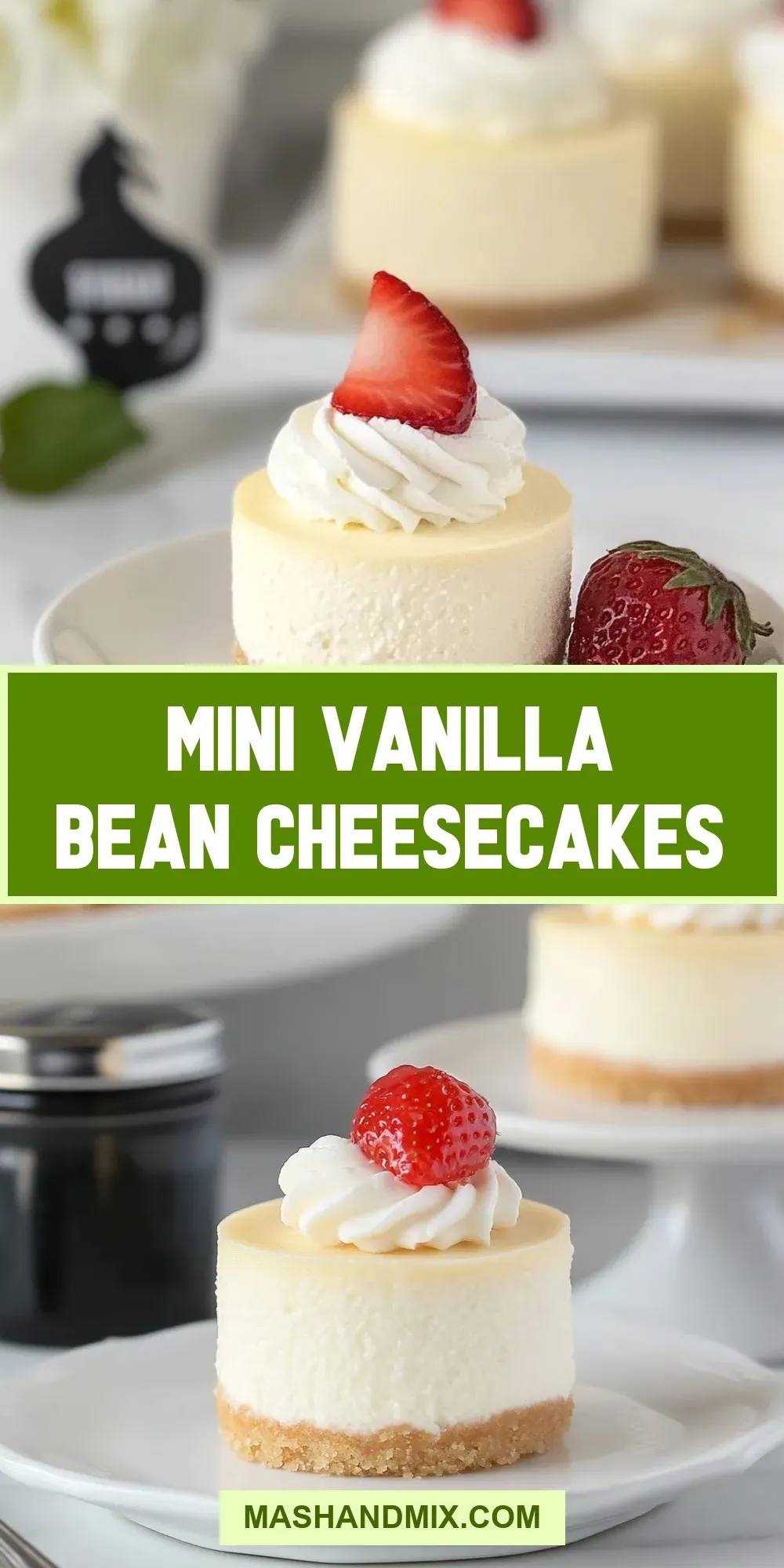 Easy Mini Vanilla Bean Cheesecakes Recipe