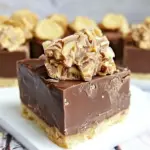 Homemade Chocolate Fudge with Nutter Butter Crust photo