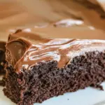 Homemade Chocolate Sheet Cake with Milk Chocolate Ganache Frosting photo