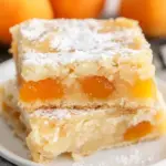 Homemade Coconut Apricot Bars photo