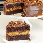 Homemade Double Chocolate Cookie Layer Cake photo