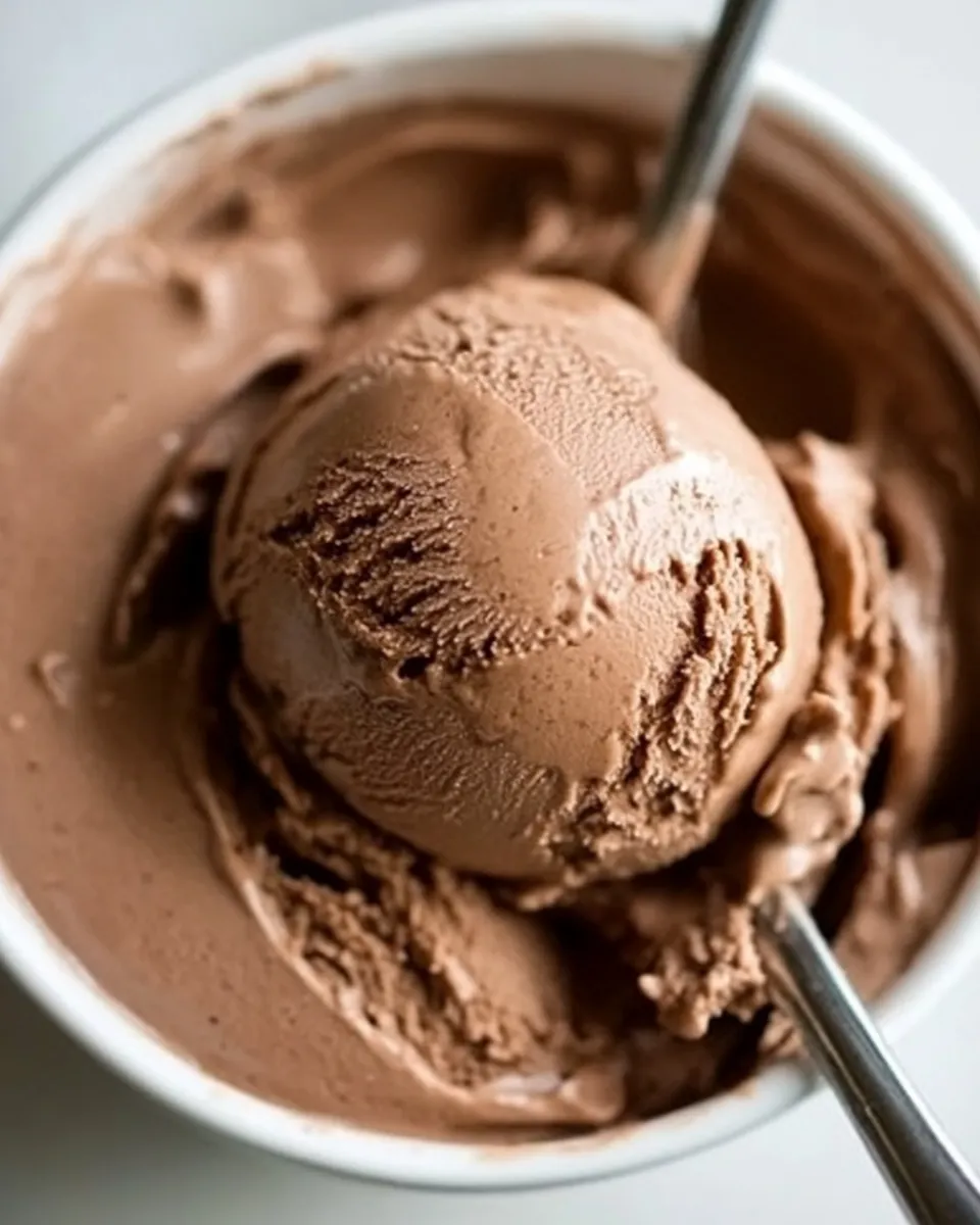 Classic Keto Chocolate Ice Cream recipe photo