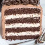 Homemade Six-Layer Chocolate Cake with Toasted Marshmallow Filling & Malted Chocolate Frosting photo