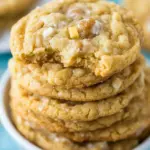 Homemade The Worlds Best Cookies photo