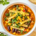 Homemade Vegan Tortilla Soup photo